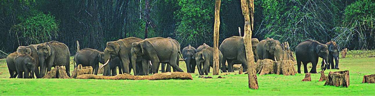 Wildlife sanctuaries in Kerala