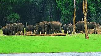 Wildlife sanctuaries in Kerala