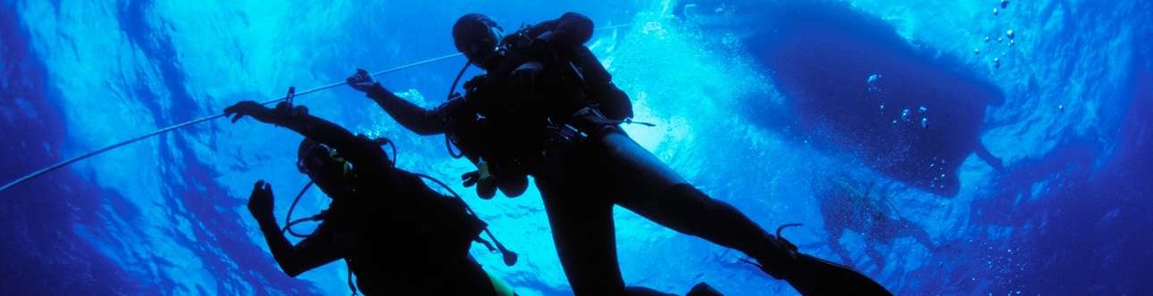  Explore life underwater while enjoying snorkeling in Kovalam