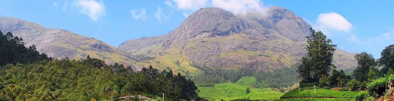  Scale new heights as you trek to the Anamudi Peak In Munnar
