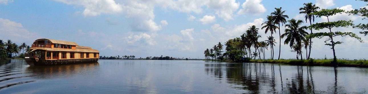  Admire nature's beauty as you experience backwater cruising in Kumarakom