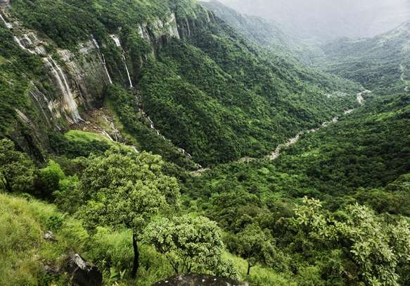 The majestic Seven Sisters Waterfalls in Meghalaya