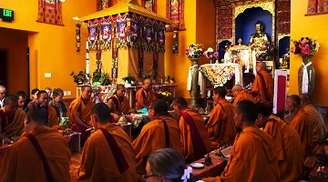 Find solace in the calm environs of Namgyal Monastery in Dharamshala
