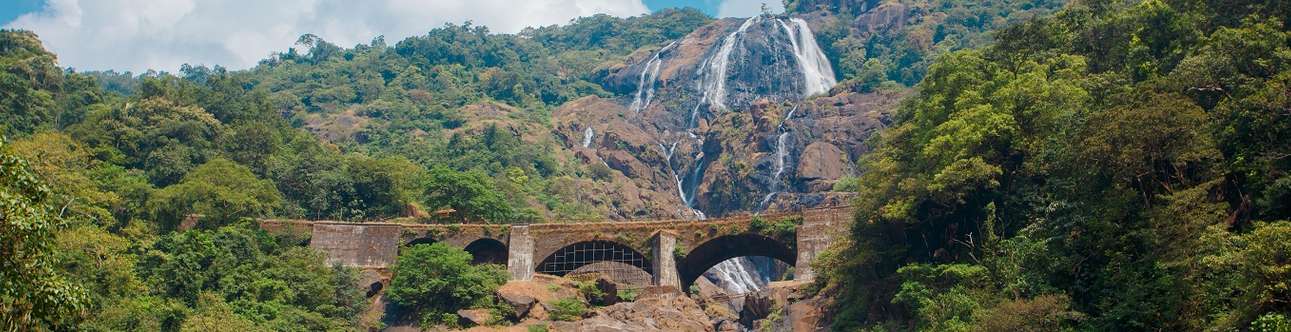 Enjoy a day trip to Dudhsagar Waterfalls