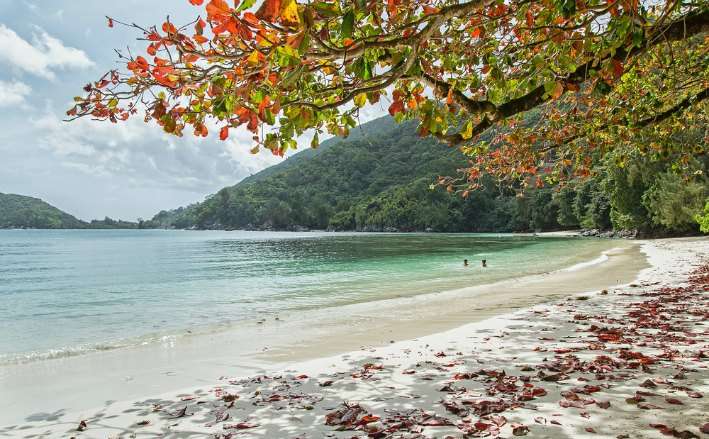 Blissful Seychelles Honeymoon Package