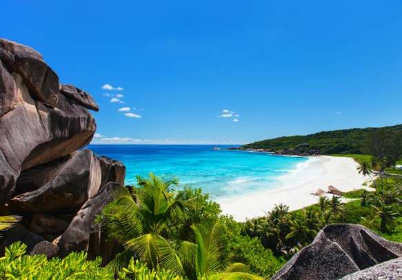 Aerial view of beautiful Grand Anse beach on La Digue island in Seychelles