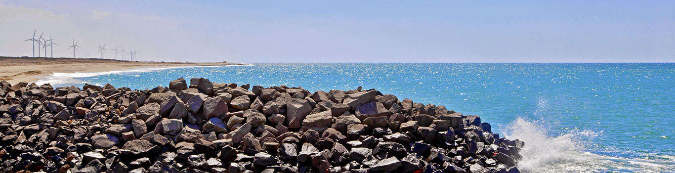 Shivrajpur Beach Near Dwarka Gujarat India Stock Photo 1445425199 |  Shutterstock