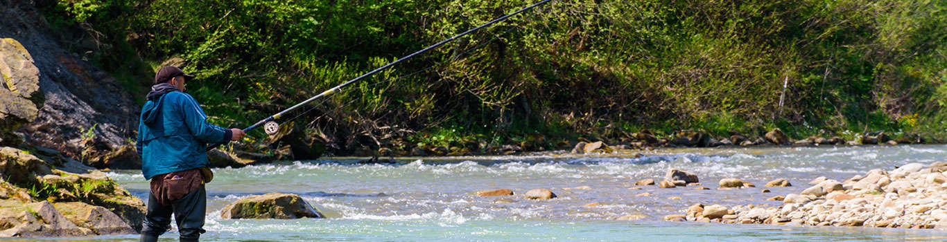 Enjoy one of the best activities to indulge in Srinagar