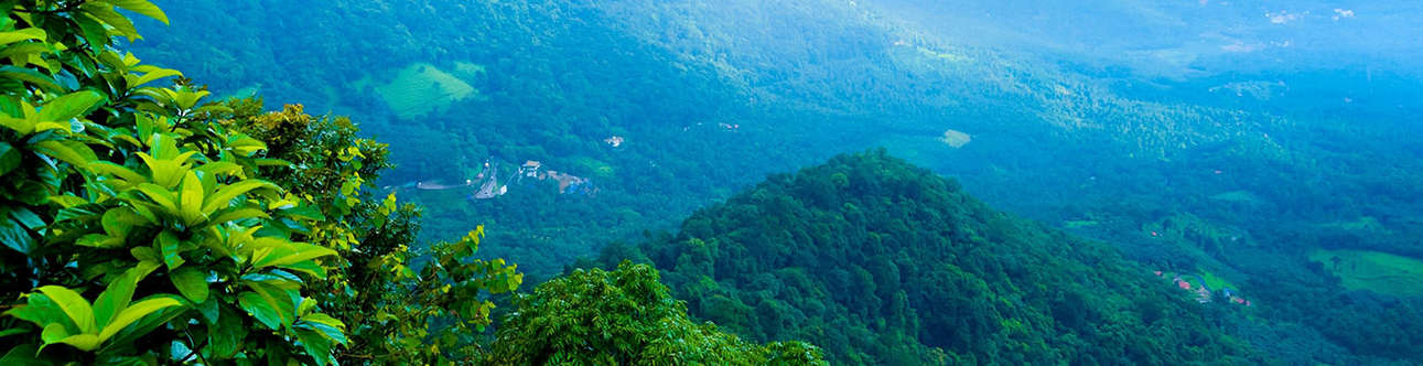 Enjoy the lush greenery and natural beauty all around you