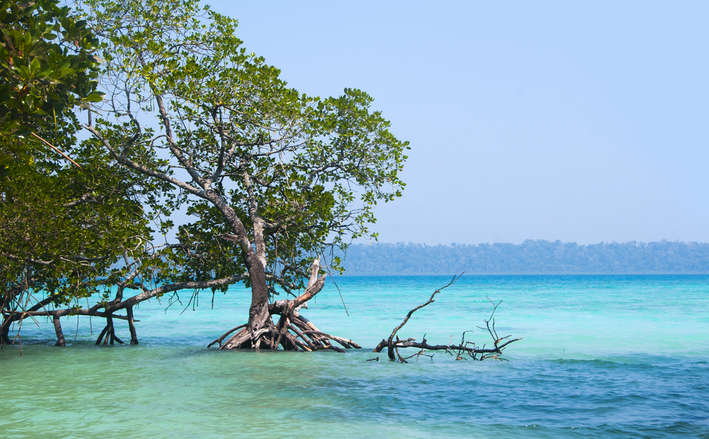 Andaman Luxury Tour Package For 3 Nights 4 Days