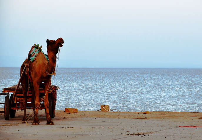 kutch tour package from bhuj