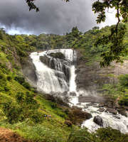 Bewitching Coorg Tour Packages From Bangalore