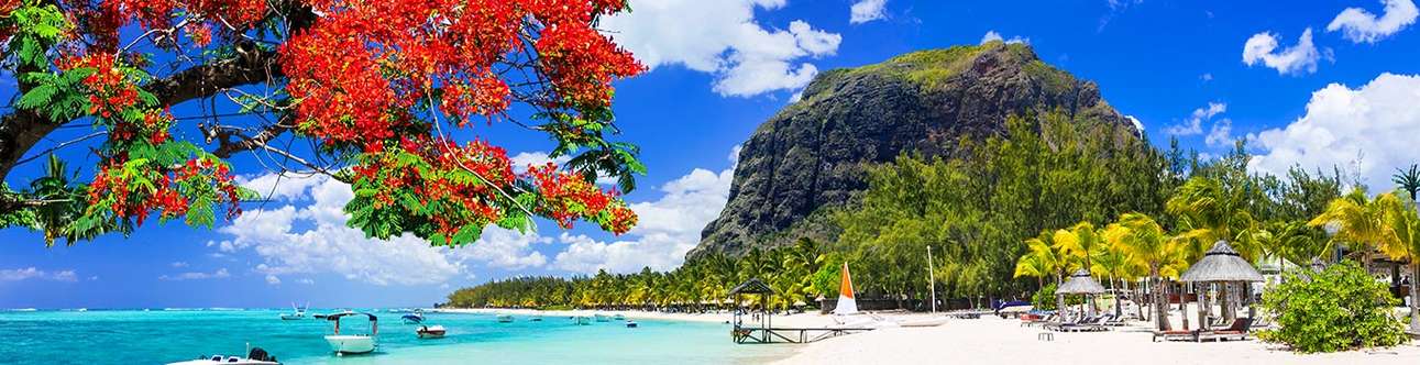 	Mauritius is the perfect place to let your hair down
