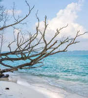 Andaman Tour Package From Coimbatore