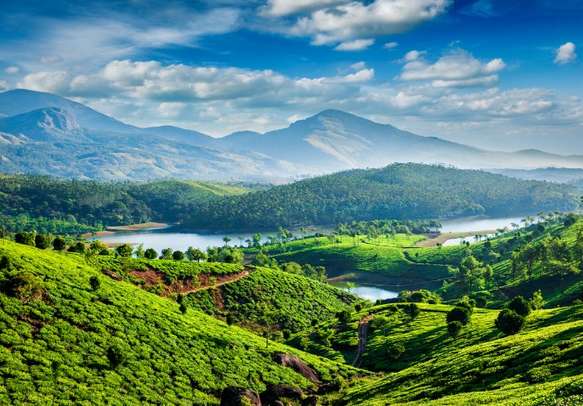 Relish the scenic beauty of Kerala