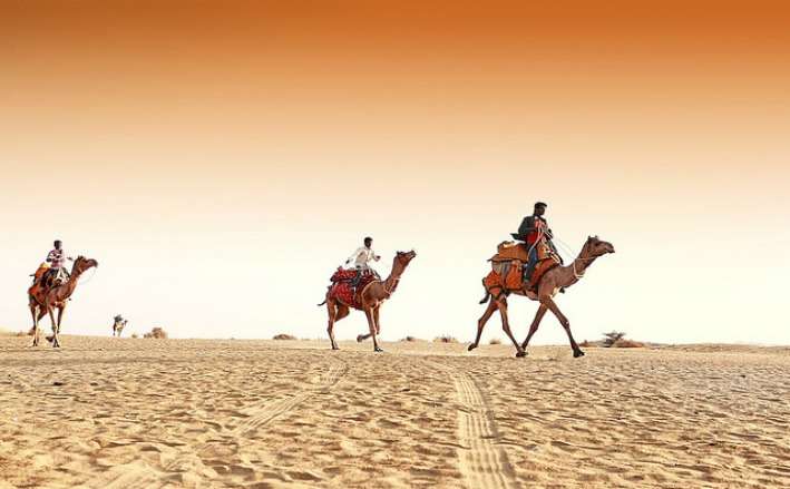 A Memorable Honeymoon In Awesome Rajasthan