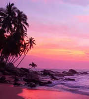 Beachside Romance: Goa Honeymoon Package