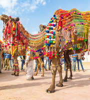 Magnificent Jaisalmer Tour Package