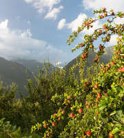 Himachal Trip Plan For 4 Days