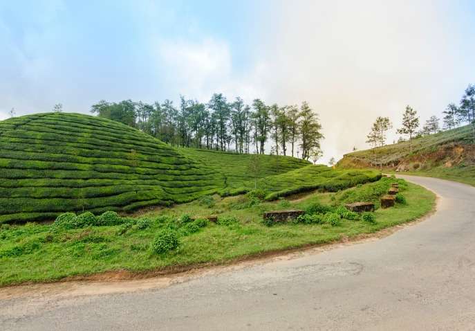Coorg Package For 4 Days 3 Nights