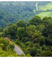 Coorg Tour Package From Coimbatore