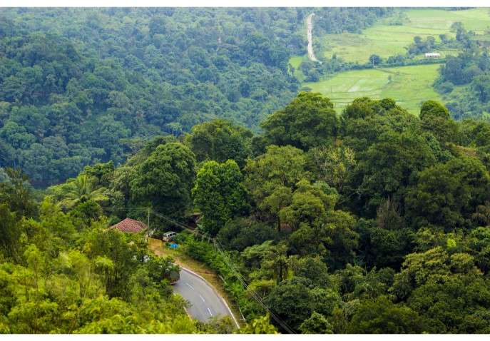 coorg tour packages from coimbatore