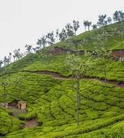Refreshing Getaways To Ooty At An Affordable Price