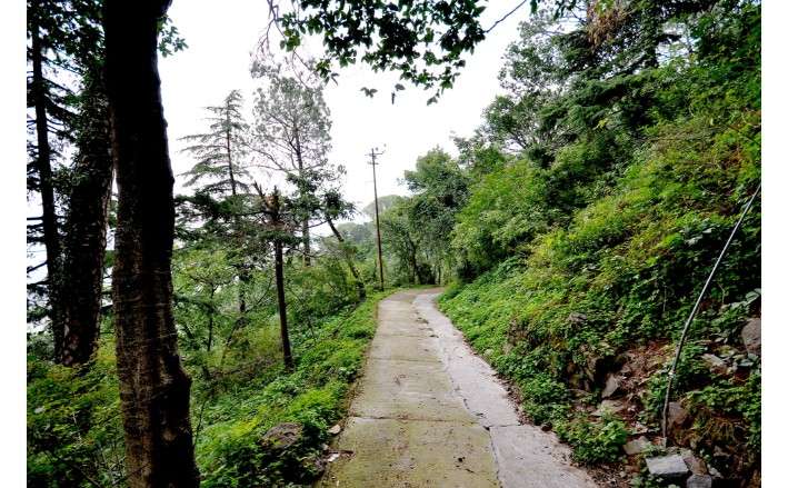 Kasauli Tour Package For 2 Nights 3 Days