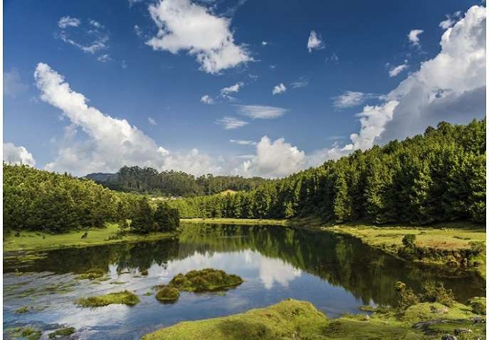 A Fantastic Getaway To Tamil Nadu