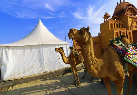 Rann of Kutch Tour Packages