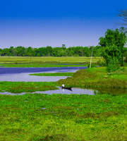 Alluring Assam Sightseeing Tour Package