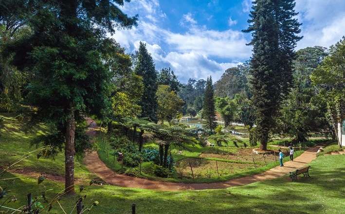 Ooty Tour Package From Mumbai With Airfare