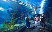 Explore Ocean World on the fourth day of your Bangkok vacation