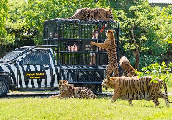 Check out the open zoo and bird park at Safari World in Bangkok City