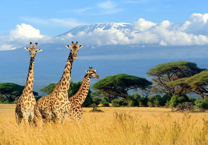 kenya tour packages from singapore