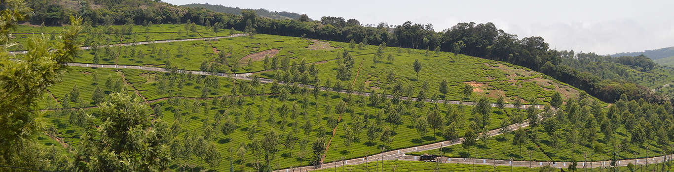 Kotagiri hill station, Tamil Nadu, India Stock Photo | Adobe Stock