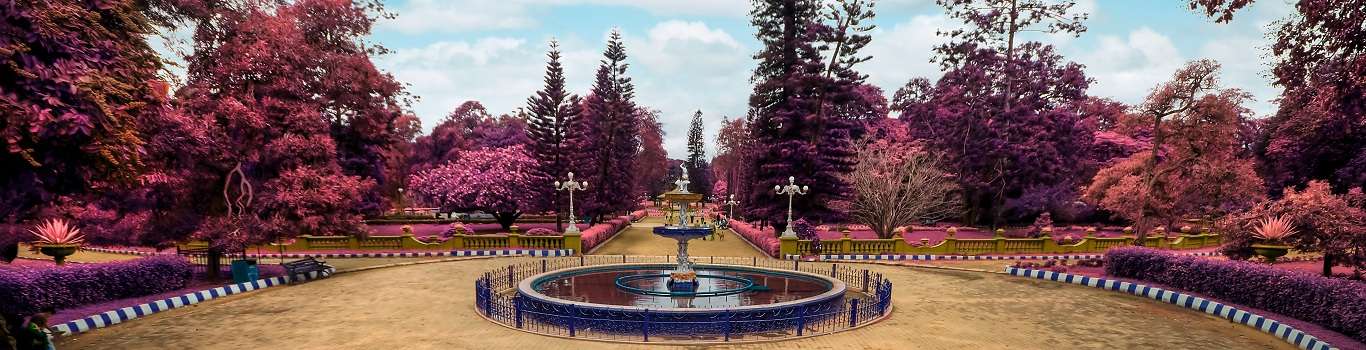 Lalbagh in Bangalore