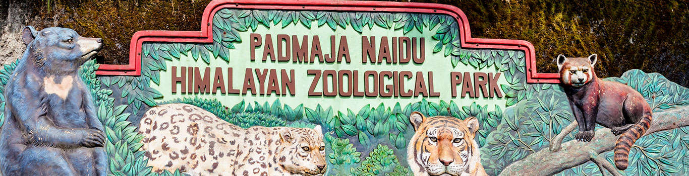 Padmaja Naidu Himalayan Zoological Park In Darjeeling