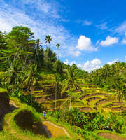 Bali 5 Star Holiday Package
