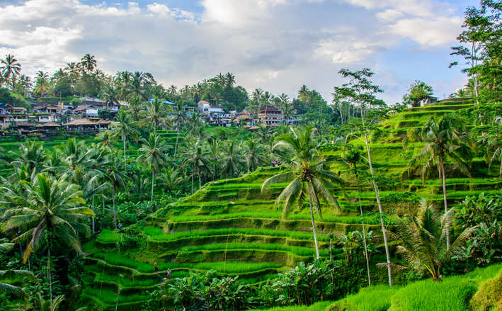 5 Days Tour Package To Bali With Airfare