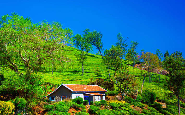 tour packages travels in kannur