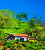 Coorg Tour Package For 4 Nights 5 Days
