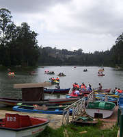 Ooty Tour Package For 2 Days By Bus From Bangalore