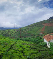 Coorg Package From Hyderabad For 2 Nights 3 Days