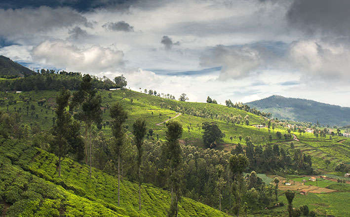 Ooty Tour Package For 3 Days From Chennai