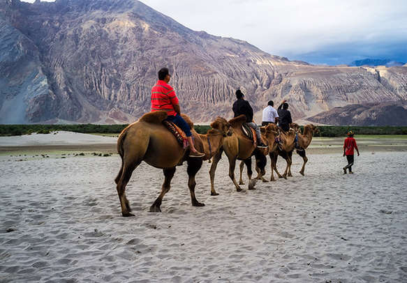 Tourists enjoy horse riding to Pahalgam valley	