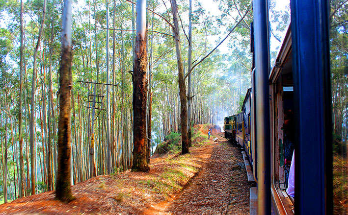 Ooty Tour Package From Bangalore