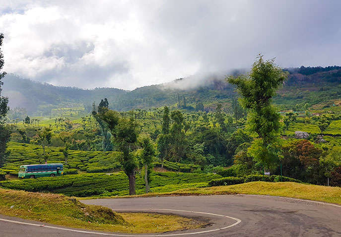 mysore ooty coorg tour packages from kolkata