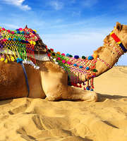 Rajasthan Package From Surat