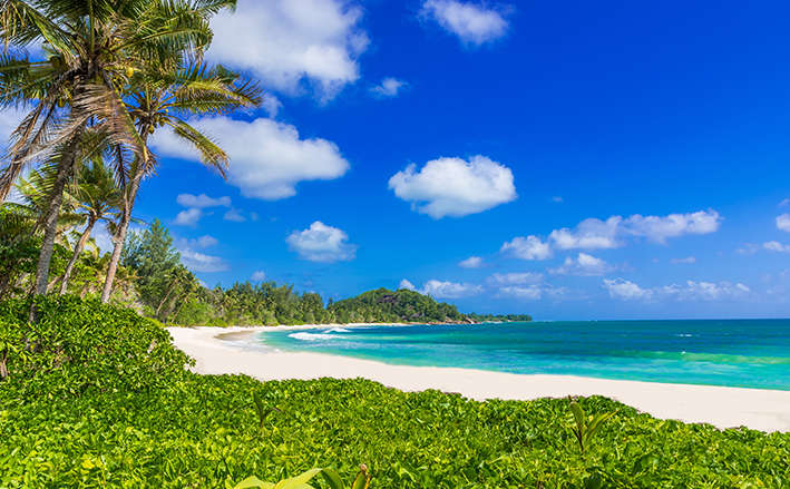 Paradisiacal Seychelles Luxury Honeymoon from Mumbai